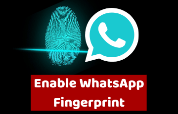 WhatsApp Fingerprint Lock: How To Enable? (Quick Guide) 2023
