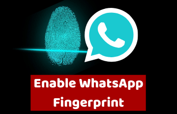 WhatsApp Fingerprint Lock  How To Enable   Quick Guide  2023 - 87
