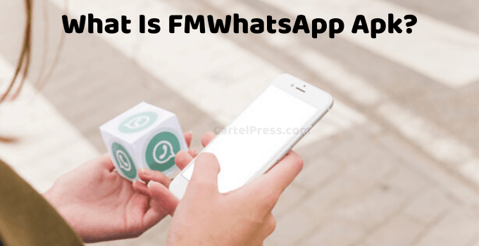 FM Whatsapp 9.52 Download Anti Ban Latest Apk 47 MB %currentyear% 22 FMWhatsApp Apk