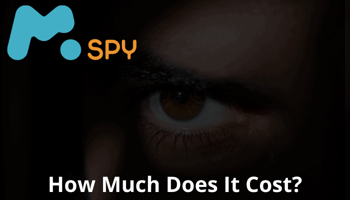 how much does mspy cost