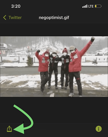 Save GIF From Twitter on iPhone