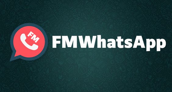 FM WhatsApp Mod app for android