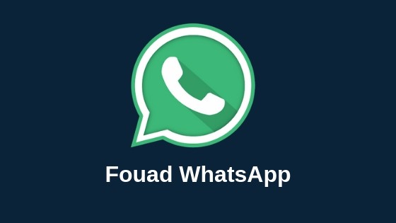 Fouad Whatsapp mod app for android