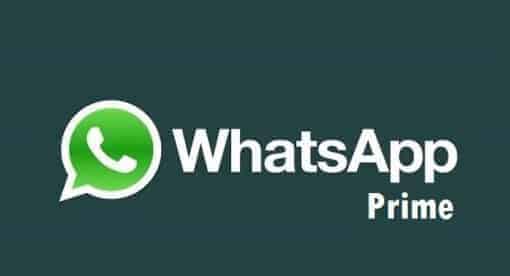 WhatsApp Prime mod app