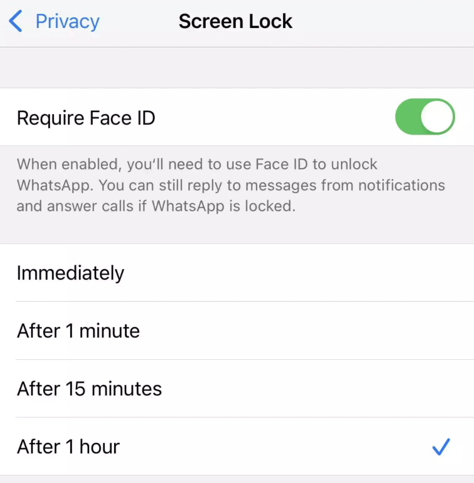 iPhone Whatsapp Lock
